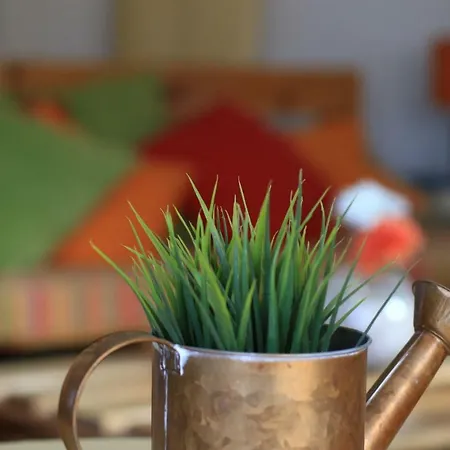 Πανσιόν Blacksheep & Surf Σάγκρες