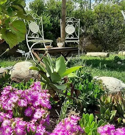 Blacksheep & Surf Guest house