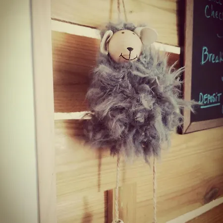 Blacksheep & Surf Guest house *