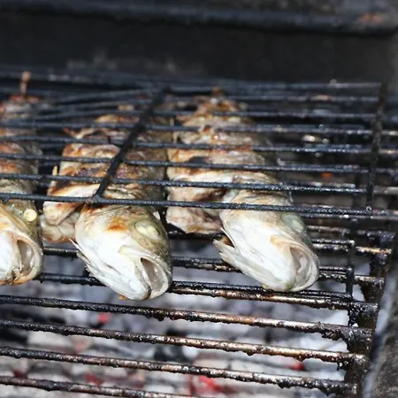 Pensjonat Blacksheep & Surf *