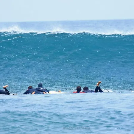 Guest house Blacksheep & Surf
